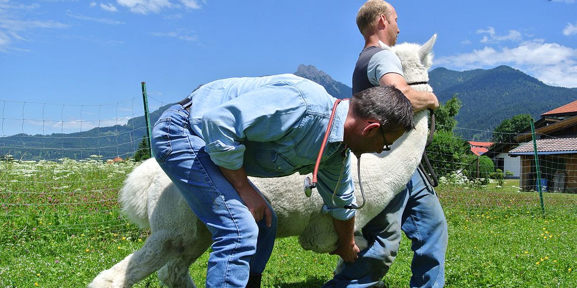 Leistungen von Dipl. Tierarzt Robert Schatzlmair in Reutte